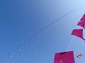 P1220503