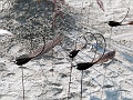 P1340265