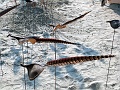 P1340266