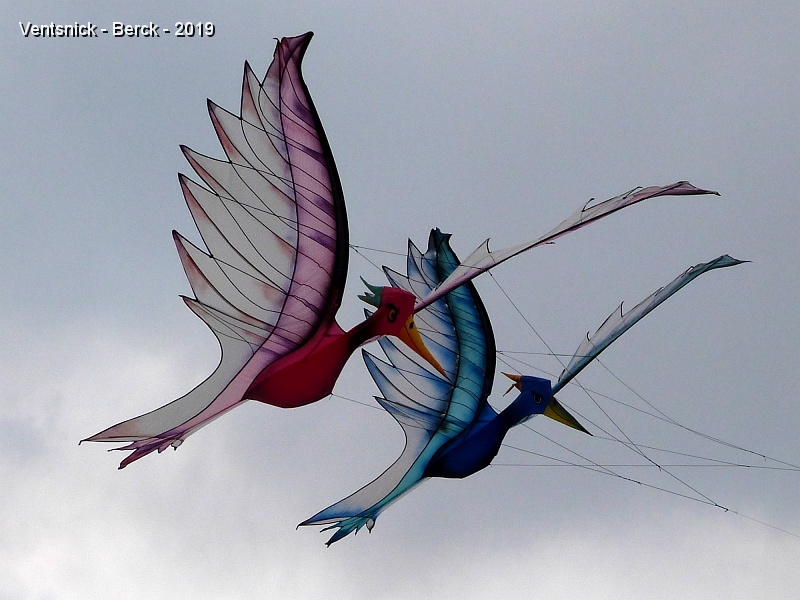 P1340741.JPG - ... couple en vol ...