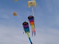 P1340384