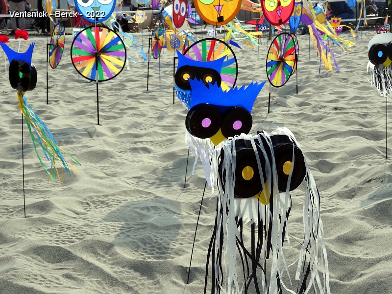 DSC08602.JPG - ... nos masques de chouettes et hiboux font leur première apparition à Berck, ...