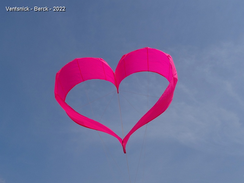 DSC08640.JPG - ... elle met tout son coeur pour nous aider ! ...