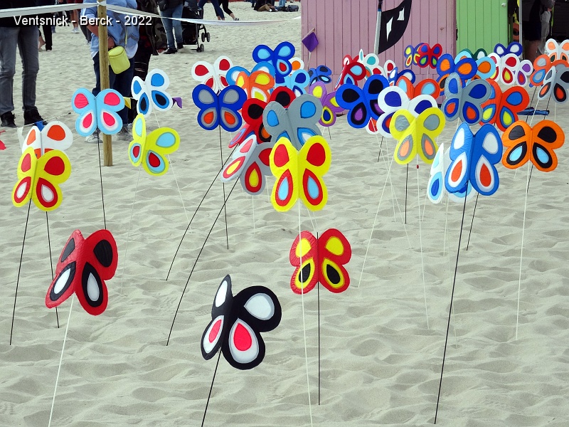 DSC08666.JPG - Les abords des terrains sont eux aussi décorés, ici par Marianne Curty avec ses papillons, ...
