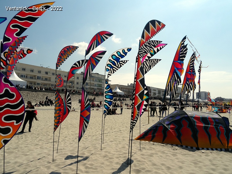 DSC08700.JPG - Venus des USA, Scott Hampton et son épouse proposent des cerfs-volants artistiques dont la qualité de finition est irréprochable ! La techinque urilisée consite à combiner la mise en peinture partielle de coupons de spi, de leur superposition, de la couture des contours des zones colorées et enfin de leur évidement ! Leur emplacement, bannières, tente, ... montre clairement leur style !