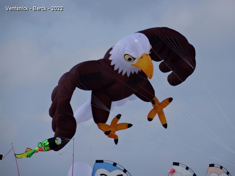 DSC08739.JPG - ... un aigle, ...