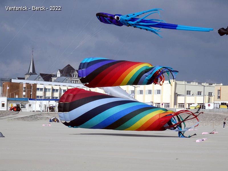 DSC08818.JPG - ...