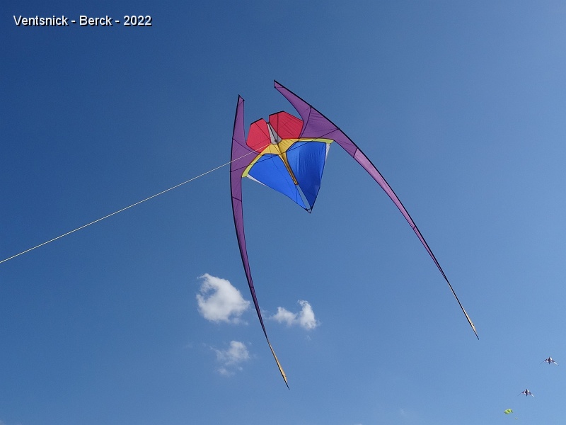 DSC08871.JPG - ... leur "Raymond" de Ramlal Tien prend les airs, ...