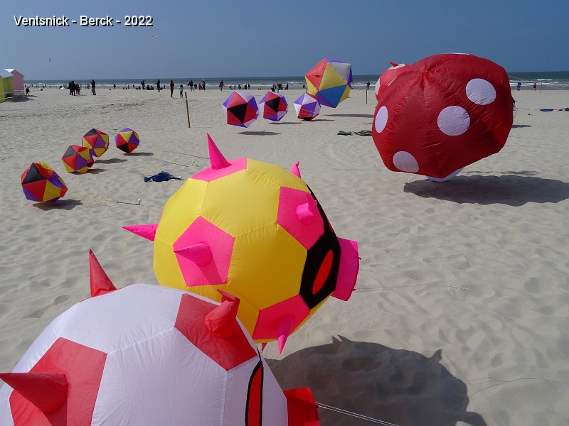 DSC08953.JPG - D'autres ballons de philippe Burger accompagnent son champignon géant, ...