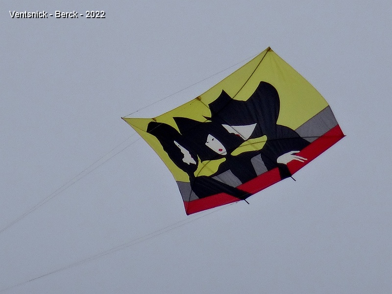 DSC09010.JPG - ... leur poster kite "Les Dames aux chapeaux" se satisfait d'un brise légère, ...