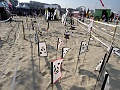 DSC08607