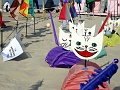 DSC08612