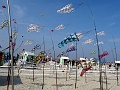 DSC08614