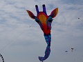 DSC08661