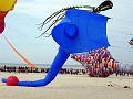 DSC08664