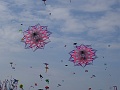 DSC08665