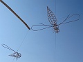 DSC08736