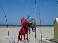 DSC08841