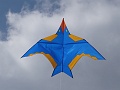 DSC08896