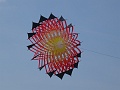 DSC08909