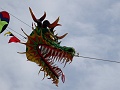 DSC09071