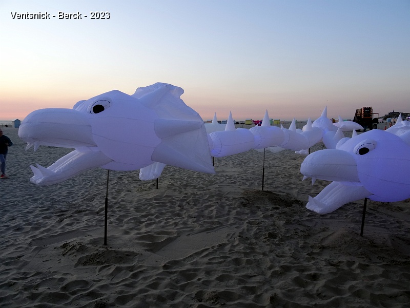 DSC01618.JPG - Un dragon initialement exposé sur la plage va ...
