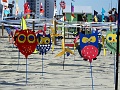 DSC01620
