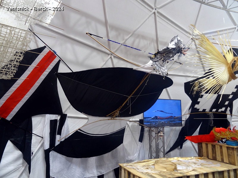 DSC04082.JPG - Exposition de cerfs-volants du monde sous le dome, ...