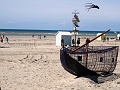 DSC03939