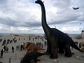 DSC04064