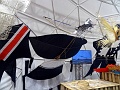 DSC04082