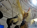 DSC04085