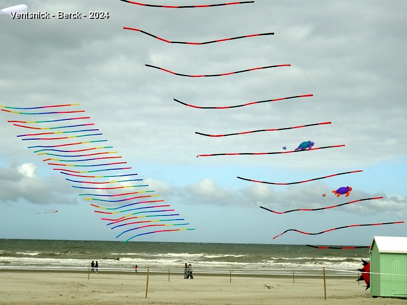 DSC03966.JPG - Des tubes : un excellent moyen de décorer des lignes quand le vent est très fort !