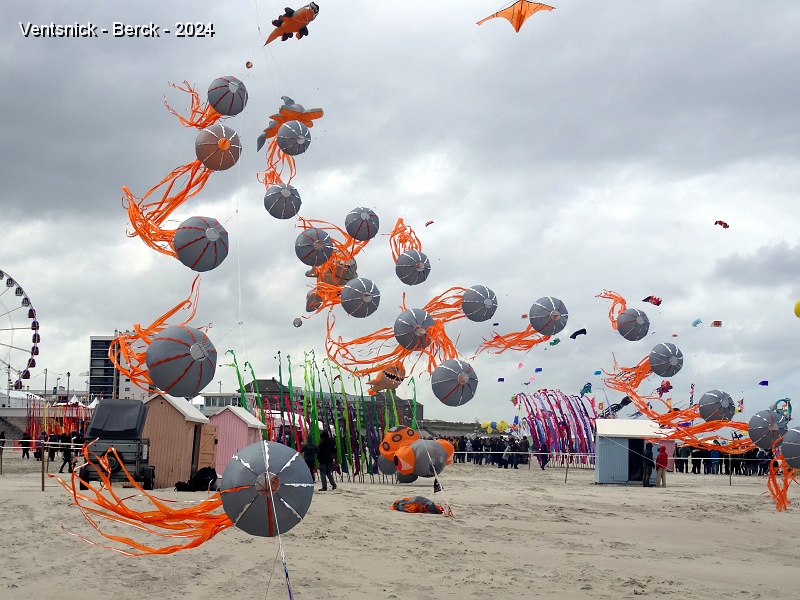 DSC03971.JPG - Du gris, de l'orange : Laetitia et Christophe Beauducel sont présents ! Leurs méduses forment un très bel ensemble, Jusqu'à 40 de ces bestioles s'agiteront de concert : un record !