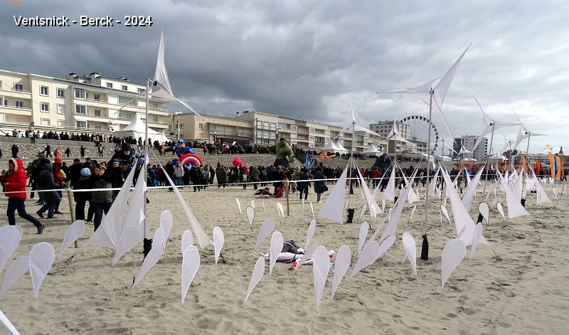 DSC04010.JPG - Ils sont chargés de décorer une longue bande de sable. Ici avec des Totems et des Plumes blanches