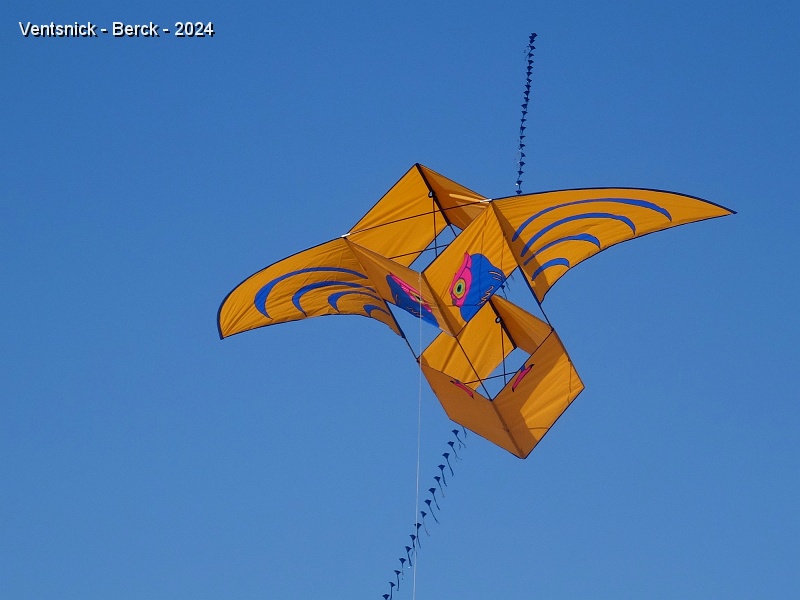 DSC04056.JPG - Notre nouveau Roi des airs se satisfait de très peu de vent, ...