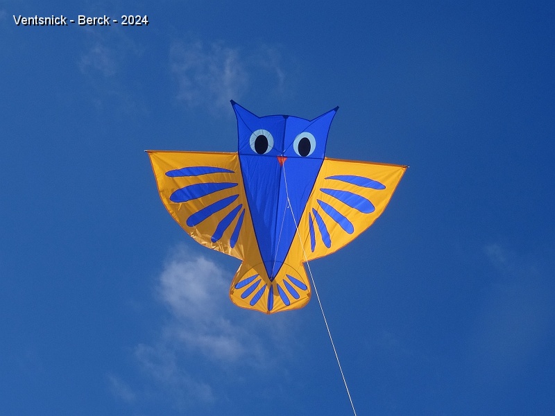 DSC04059.JPG - ... et notre hibou prend l'air pour la première fois.