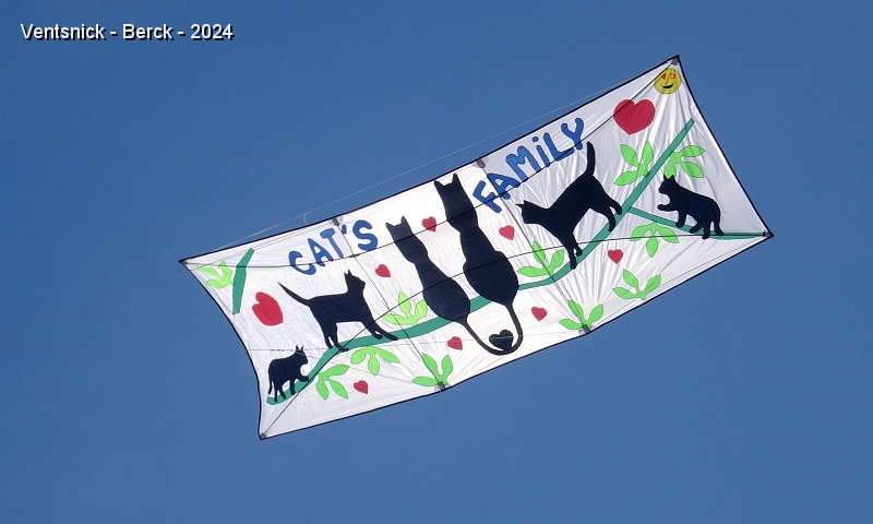 DSC04111.JPG - Quand la vitesse du vent passe sous la barre des 10 km/h il est temps de sortir des cerfs-volants pour vent léger, Ici le Poster Kite d'Isa et Alain Boutin, ...