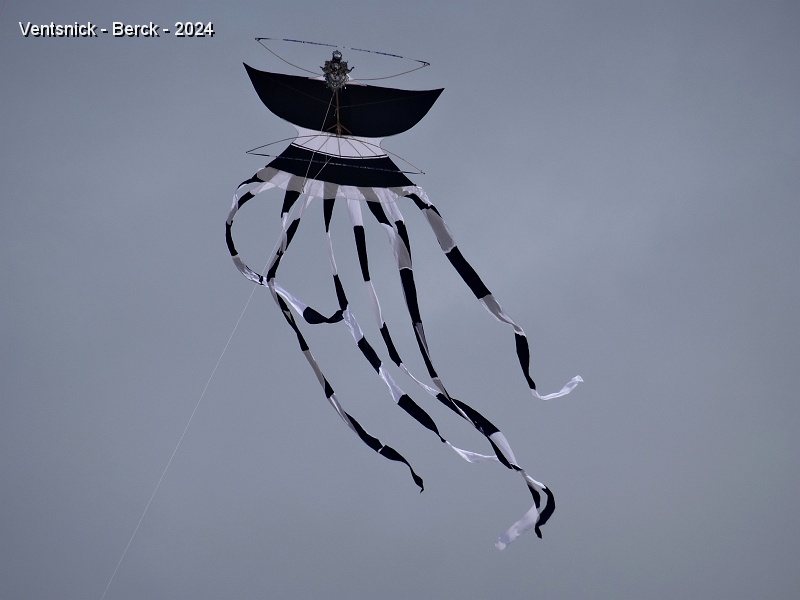DSC04175.JPG - layang-layang, un cerf-volant Balinais