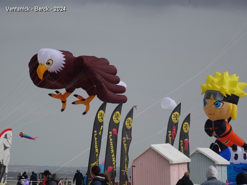 DSC04253.JPG - Aigle de Bruno Claes et Naruto de Thierry Bozzo.