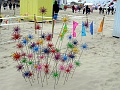 DSC03961