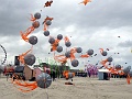 DSC03971