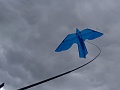 DSC03983