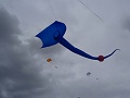 DSC03990