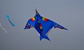 DSC04108