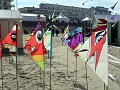 DSC04122