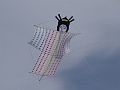 DSC04185