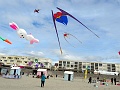 DSC04211