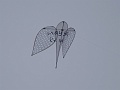 DSC04306