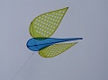 DSC04351